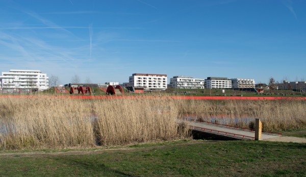 DSC_0005.jpg