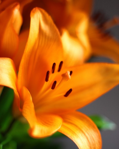 BD9F6C36-B73F-4091-8443-EC4AB54C9D96.thumb.jpeg.ab9cb674bcd5e9100419956dde5d1dc2.jpeg