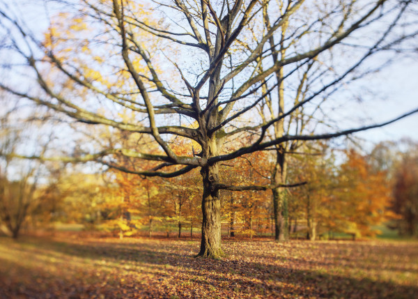 Panorama sans titre1-1 copie.jpg