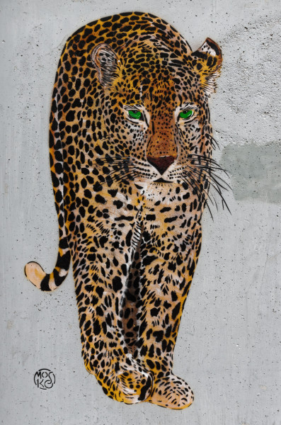 Jaguar.thumb.jpg.56b0391c05f2650d1522666b67a1e0d8.jpg