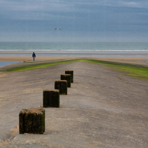 161042879_breakwatercabourg.thumb.jpg.395d49847469a71070b5bd1797d9dbd3.jpg