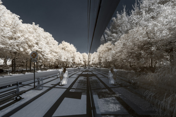 Paris_Invisible_2019_infrared_photography_series_pierre-louis_ferrer_04.thumb.jpg.b2ca58aadbd89b117895bcd51e4b1959.jpg