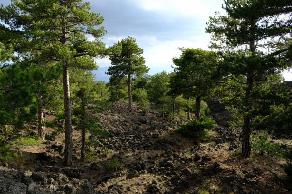DSCF9172.jpg