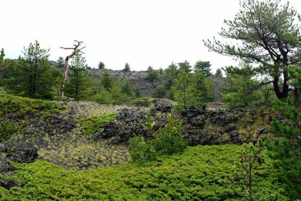 DSCF9190_v1.jpg