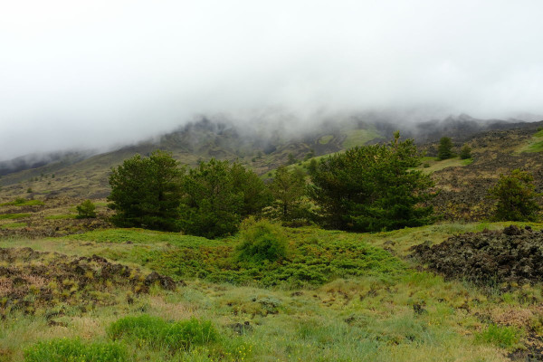 DSCF9194.jpg