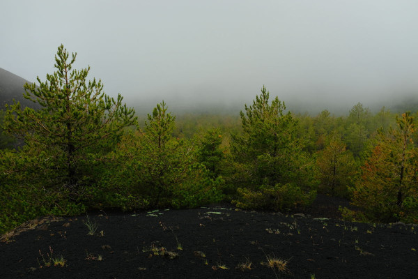 DSCF9219_v1.jpg