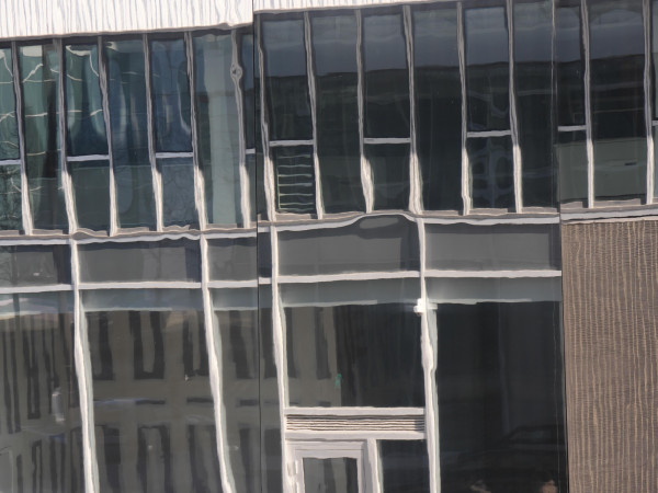 P1010553.jpg