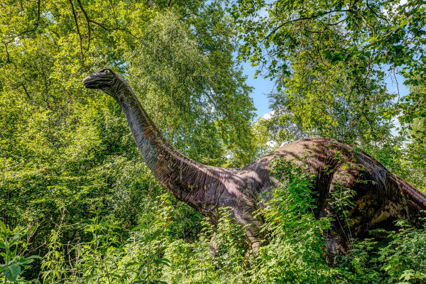 dino.thumb.jpg.1c661e3ced5223eaf3e91690952b6afc.jpg