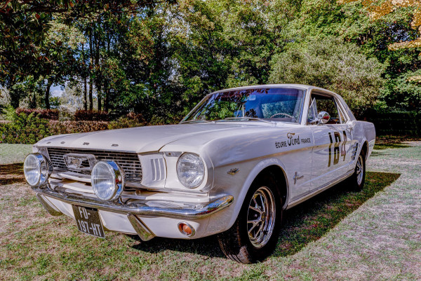 Ford_Mustang.thumb.jpg.162b5611b7a33bfc1a895e743c88ab31.jpg