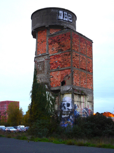 IMG_6975.jpeg