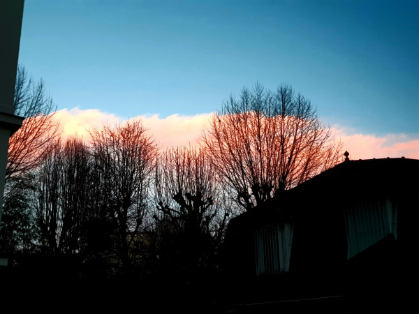 20210218_182514.thumb.jpg.5b3360a56e668c57c188df78398e1a36.jpg
