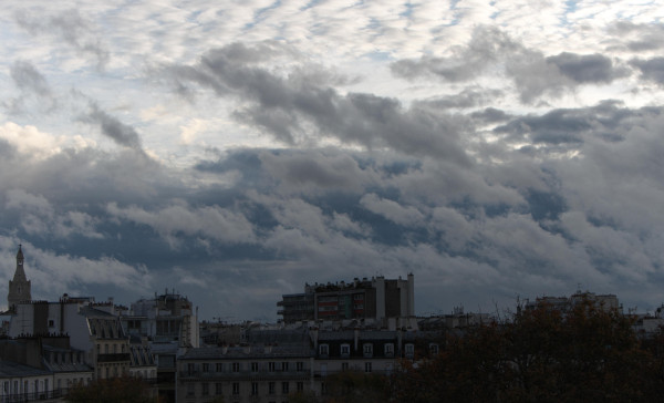 IMG_1422.jpg
