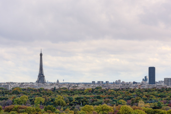 eiffel_montparnasse.thumb.jpg.a6becba7ac9b6049066ebd074aff19b5.jpg