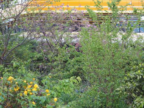 IMGP0163_v1.jpg