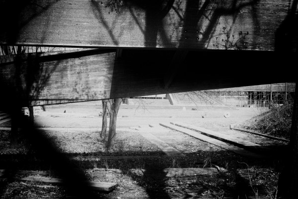 DSCF5180_Nik_jpeg.jpg