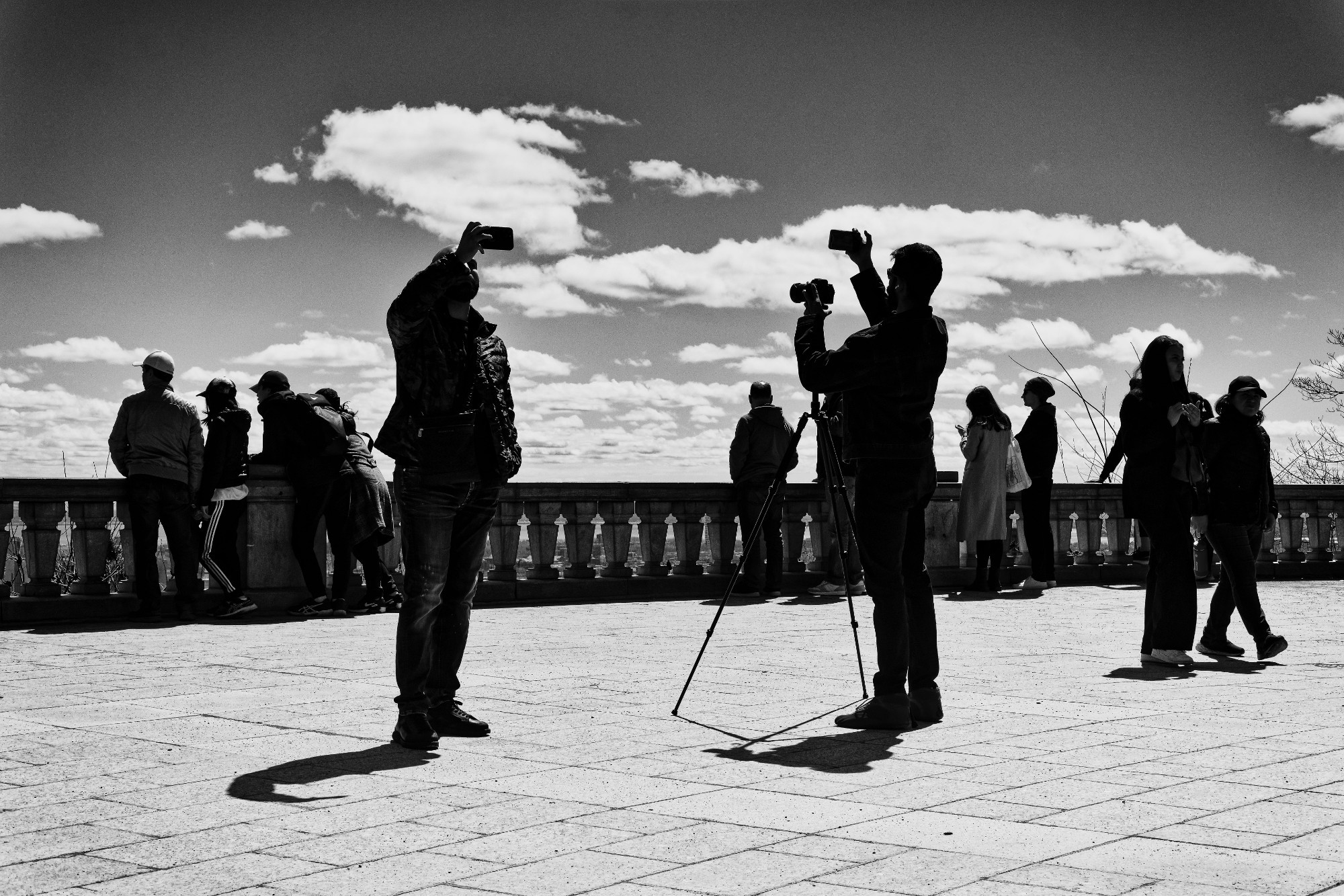 DSCF5377_Nik_jpeg.jpg