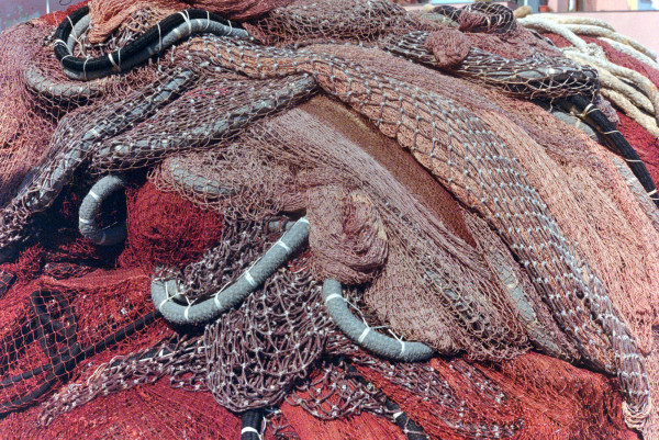 DSC_1901_v1.JPG