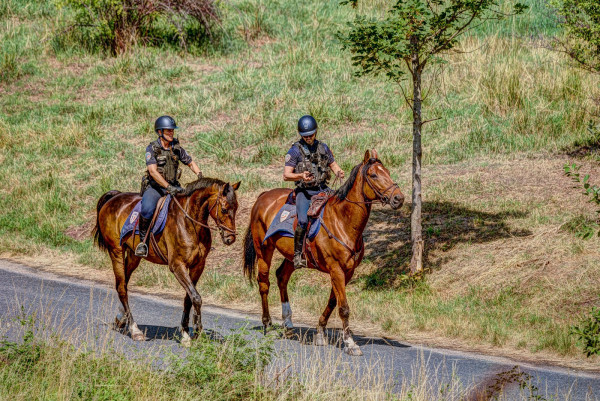 Police.thumb.jpg.788ad41031bb9c3ceaf85fdcbf8fd71e.jpg