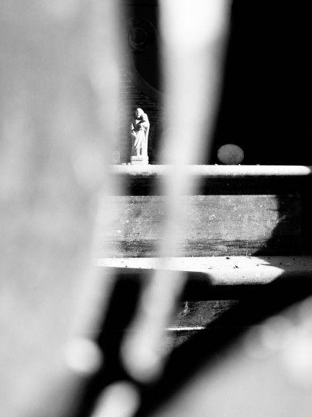 IMG_9821.jpeg