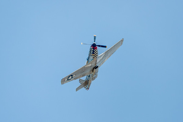 P-51_Mustang.thumb.jpg.47483d8f1ec1b2ebd41ff75baa47ac49.jpg