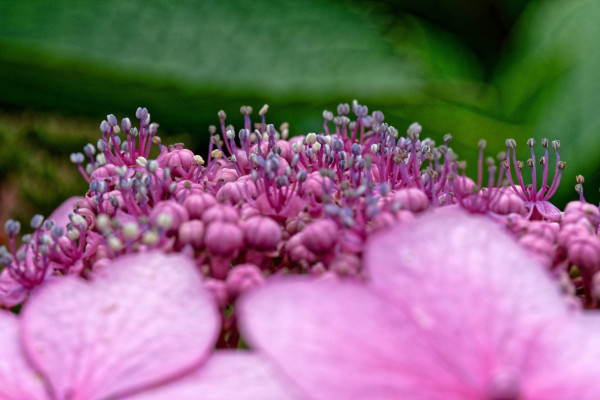 DSCF7618_D_1.jpg