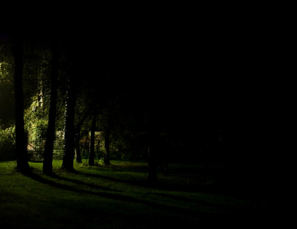 3A8D318F-2F72-486A-B2F8-36EEA59E140A_1_201_a.jpeg