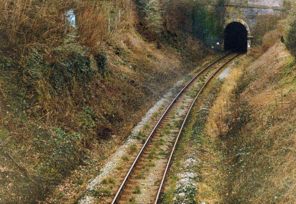 DSC_1767_v2.jpg