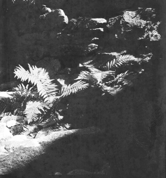 out-0010.jpg