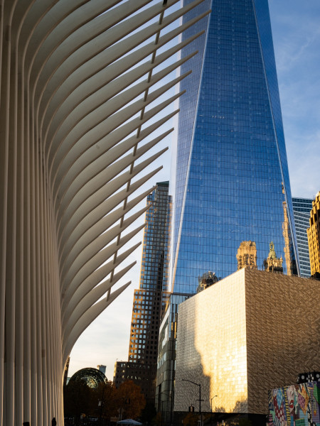 BauChristineNewYork-23.thumb.jpg.c0b8bcac10b90fc9f84e9ebc8b3fe216.jpg