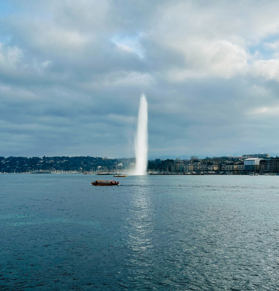 A1E7D111-145C-4CA1-9DE5-DB739F79A670_1_201_a.jpeg