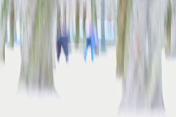 Promenadesouslesarbres-icm.thumb.jpg.fc77122e4786dc088c1fa11f4ec7a5f7.jpg