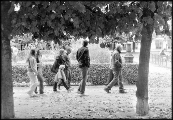 capture000205v1_v2.jpg