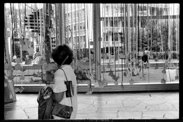 capture000343v1_v2.jpg