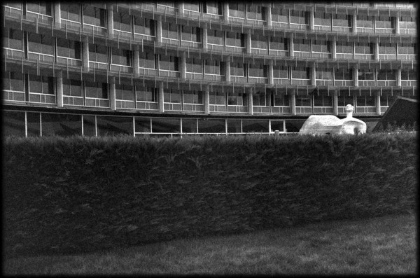capture000346v1.jpg