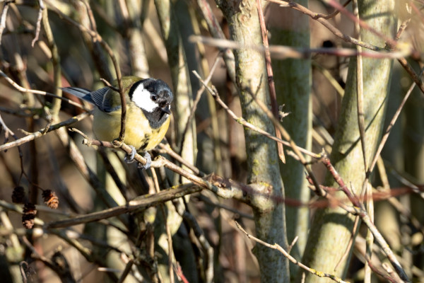 DSCF6939.jpg