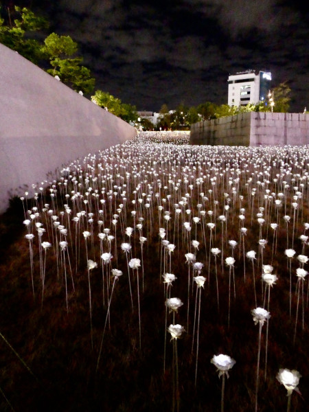 95D67CFA-6511-40BA-A948-50FD6EC40D89_1_201_a.jpeg